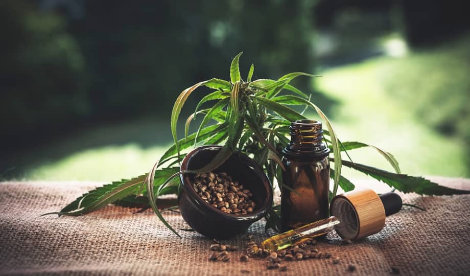 hemp plant and hemp oil